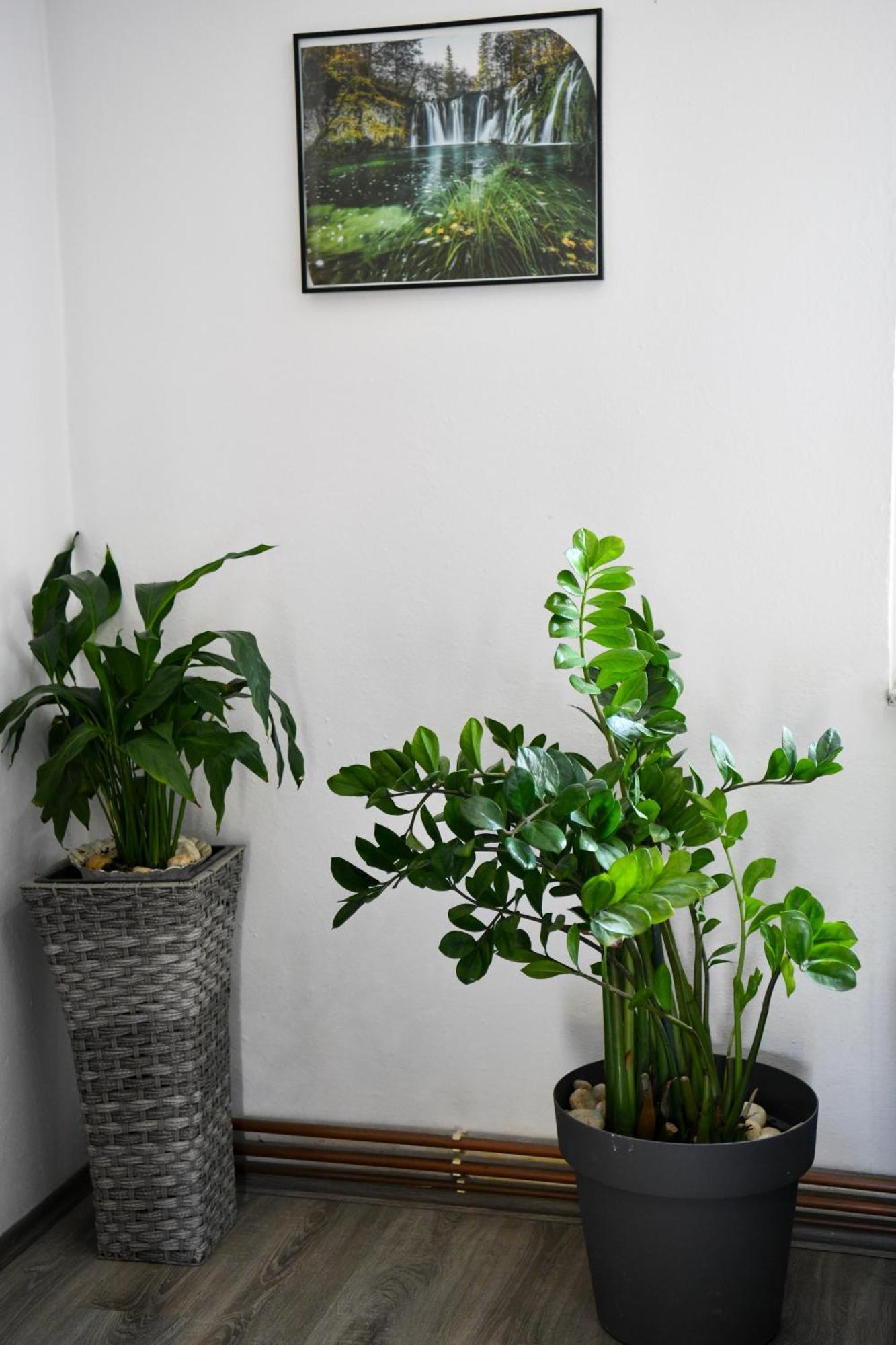 Katja Apartment